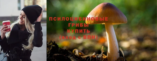 PSILOCYBIN Володарск