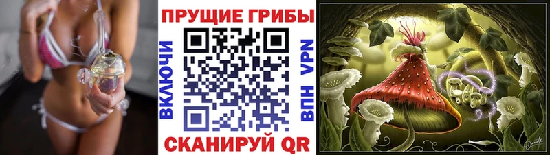 Галлюциногенные грибы Cubensis Купить закладки Ростов